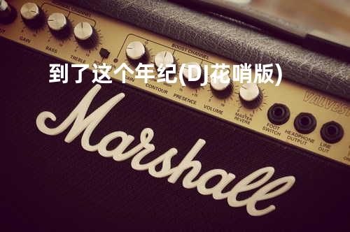 到了这个年纪(DJ花哨版)