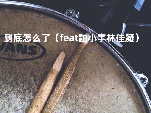 到底怎么了(feat.鼬小宇&林佳凝)