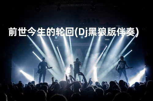 前世今生的轮回(Dj黑狼版 伴奏)