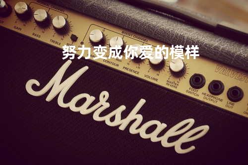 努力变成你爱的模样
