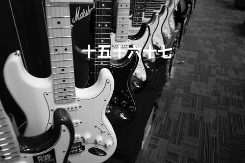 十五十六...十七