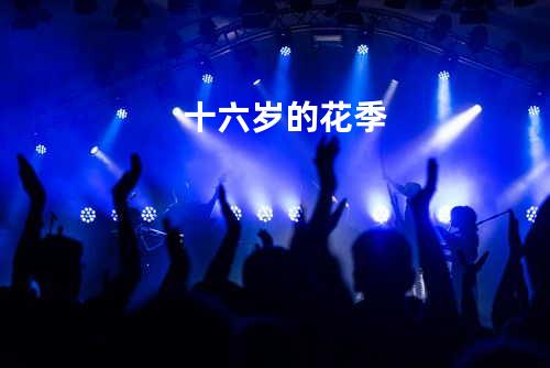 十六岁的花季