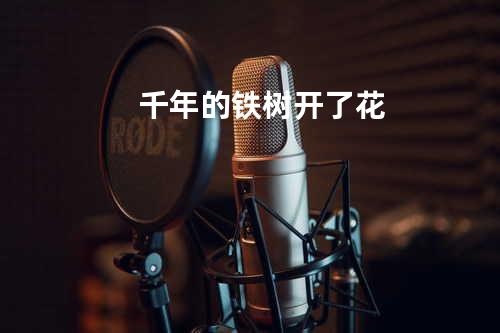 千年的铁树开了花