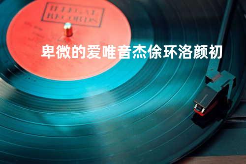 卑微的爱 - 唯音杰&俆环&洛颜初