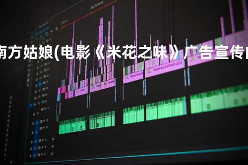 南方姑娘 (电影《米花之味》广告宣传曲)