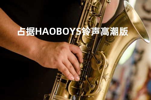 占据 HAO BOYS 铃声高潮版