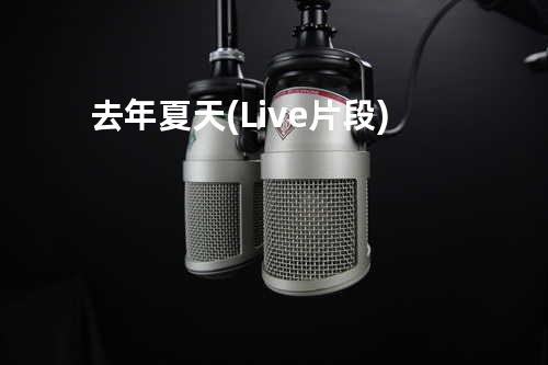 去年夏天 (Live片段)