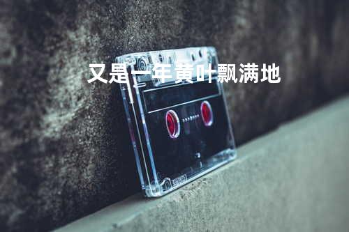 又是一年黄叶飘满地