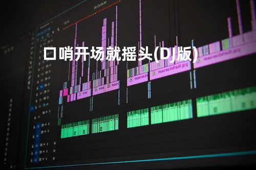 口哨开场就摇头 (DJ版)