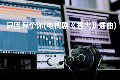 只因有个你(电视剧《香火》插曲)