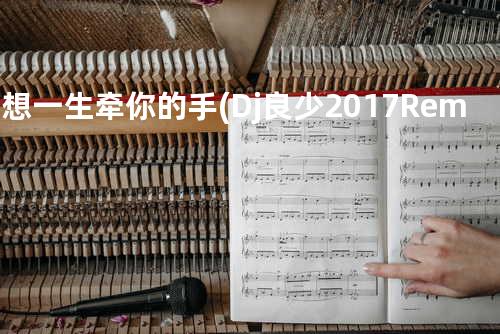 只想一生牵你的手(Dj良少2017Rem伟明