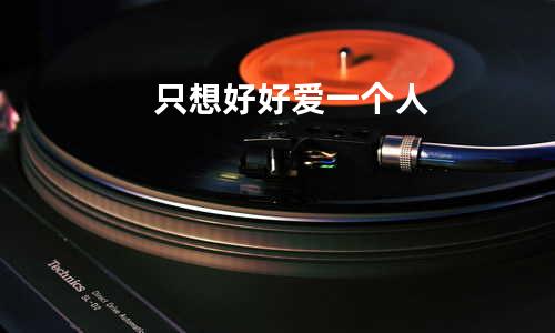 只想好好爱一个人