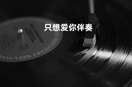 只想爱你伴奏