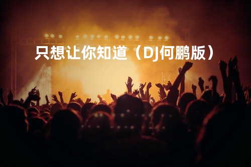 只想让你知道(DJ何鹏版)