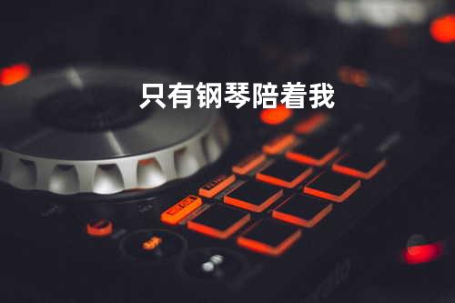 只有钢琴陪着我