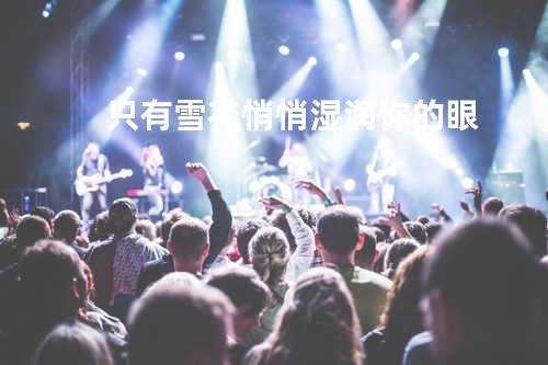 只有雪花悄悄湿润你的眼