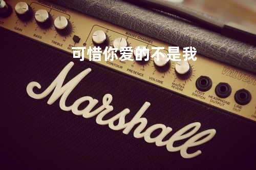 可惜你爱的不是我