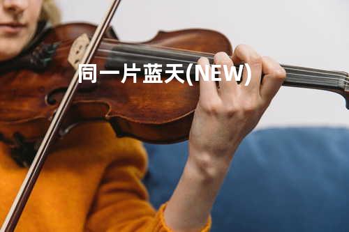 同一片蓝天(NEW)