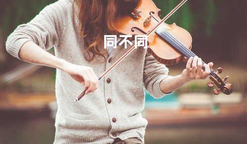 同不同