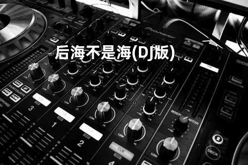 后海不是海(DJ版)