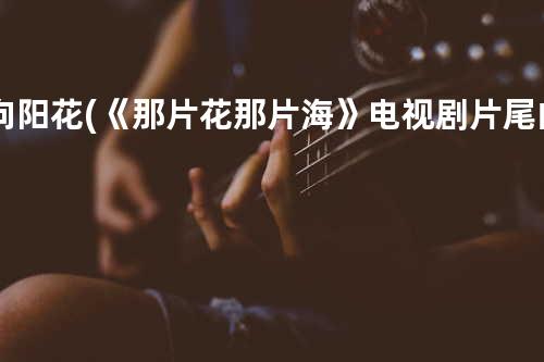 向阳花 (《那片花那片海》电视剧片尾曲)