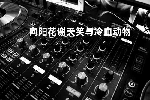 向阳花 - 谢天笑与冷血动物