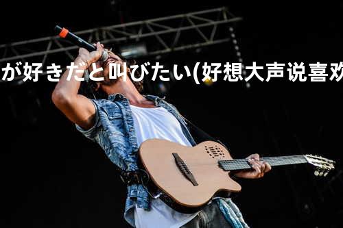 君が好きだと叫びたい (好想大声说喜欢你) (TV Version) (《灌篮高手》TV动画片头曲)