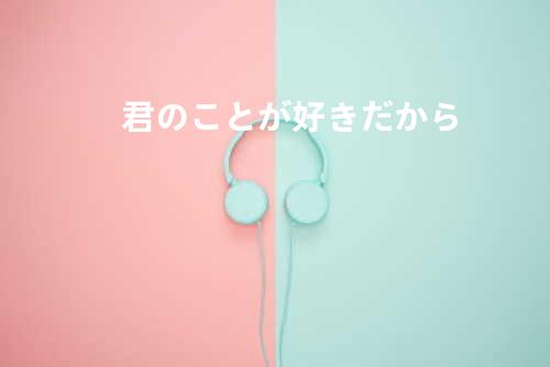 君のことが好きだから