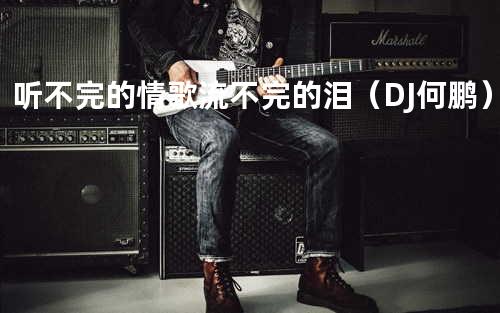 听不完的情歌流不完的泪(DJ何鹏)