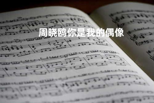 周晓鸥 你是我的偶像