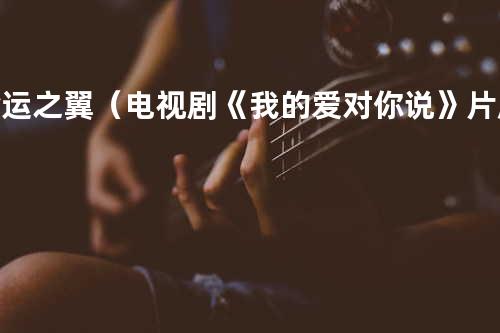 命运之翼(电视剧《我的爱对你说》片尾曲) - 王圆坤