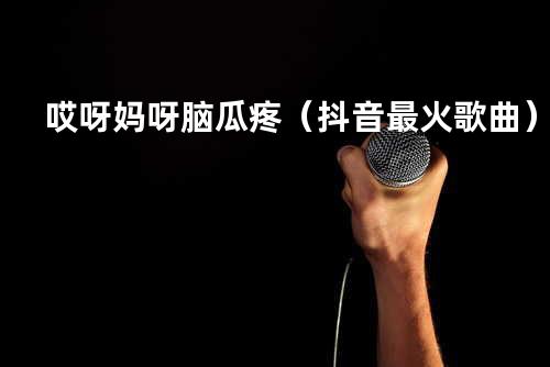哎呀妈呀脑瓜疼(抖音最火歌曲)