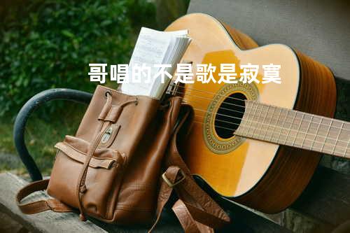 哥唱的不是歌是寂寞