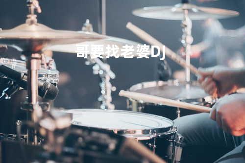 哥要找老婆 DJ