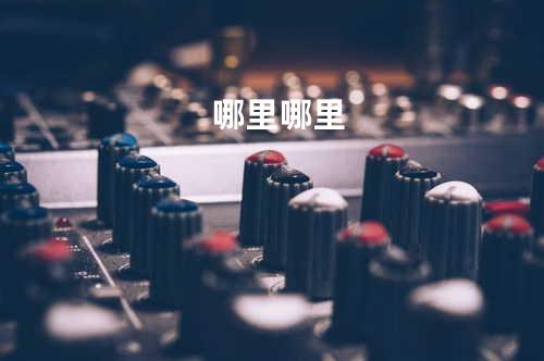 哪里哪里