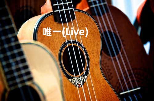 唯一(Live)