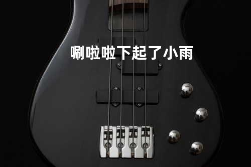 唰啦啦下起了小雨