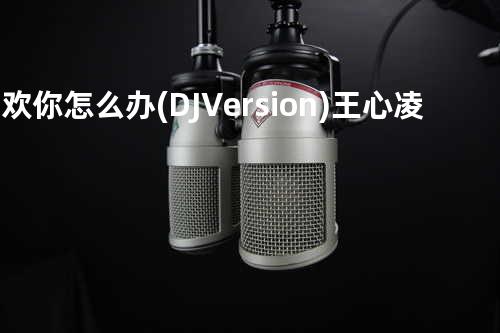 喜欢你怎么办(DJ Version) - 王心凌