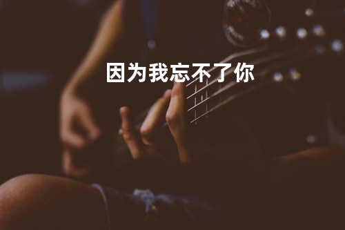 因为我忘不了你