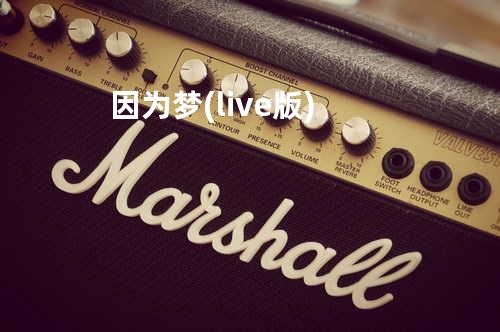 因为梦(live版)
