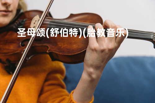 圣母颂(舒伯特)(胎教音乐)