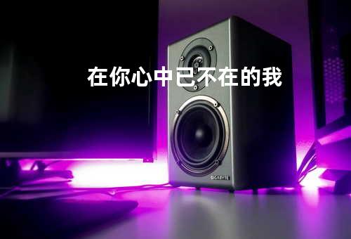 在你心中已不在的我