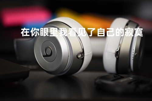 在你眼里我看见了自己的寂寞