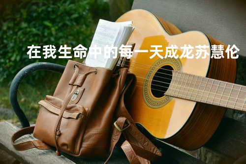 在我生命中的每一天 - 成龙&苏慧伦