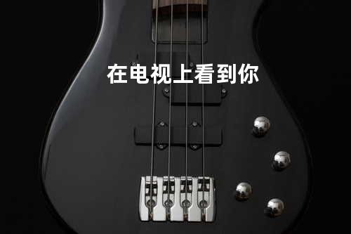 在电视上看到你