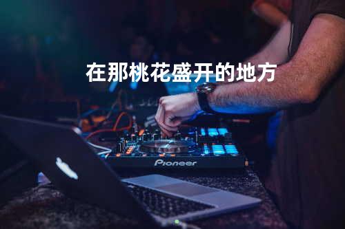 在那桃花盛开的地方