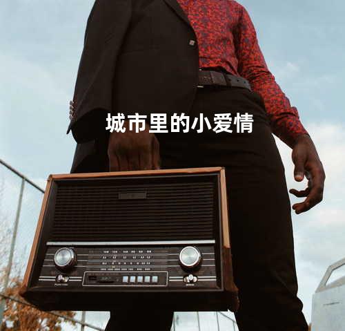 城市里的小爱情