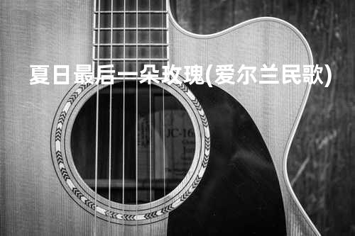 夏日最后一朵玫瑰(爱尔兰民歌)