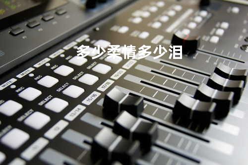 多少柔情多少泪