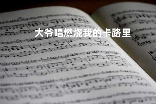 大爷唱燃烧我的卡路里